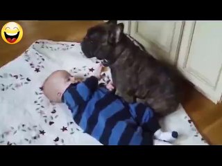 Funny Videos baby fun with dog hahah