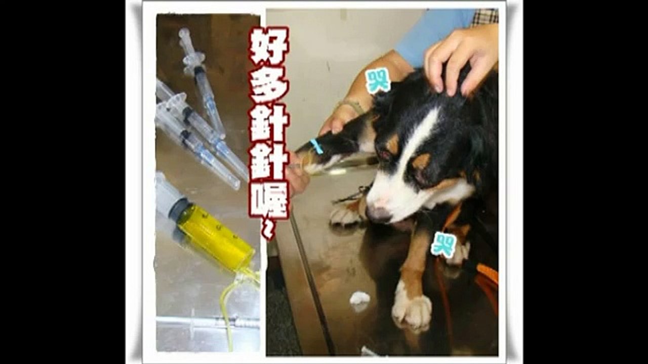 一步一腳印‧朝幸福邁進的伯恩妹.mpg
