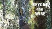 Red deer Roar: Fly camping trip New Zealand: Beyond the Wire 12
