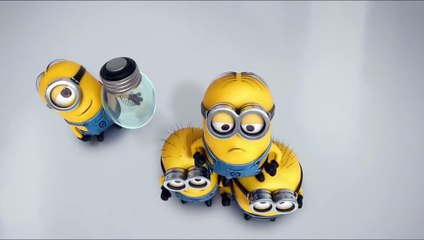 Minions Teamwork Super Funny