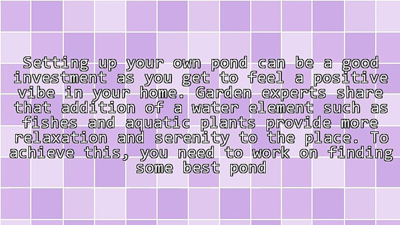 Finding The Best Pond Supplies