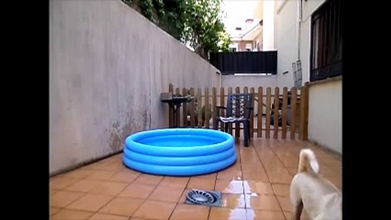 ANAA. Clana en la piscina