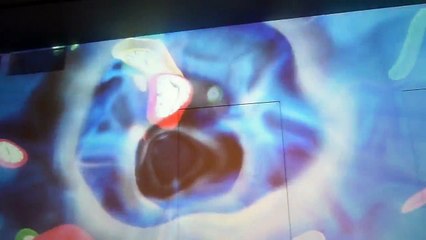 doraemon in hokkaido