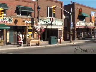 Muskoka Bear Wear -- Accessible Retail