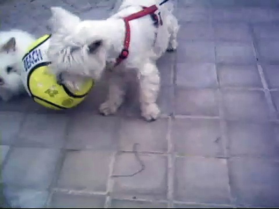 Nana y su amigo Gordo el conejo