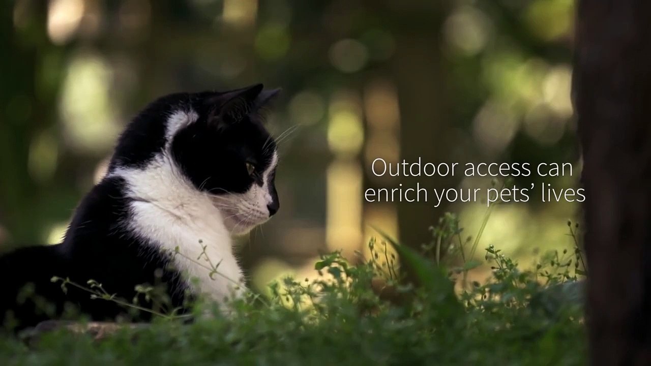 The SureFlap Range of Smart Microchip Pet Doors