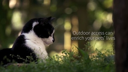 The SureFlap Range of Smart Microchip Pet Doors