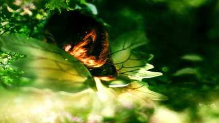 Die Sache mit der Liebe...(Filmzitate)