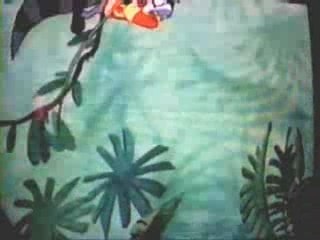 The Raccoons: Animal Song