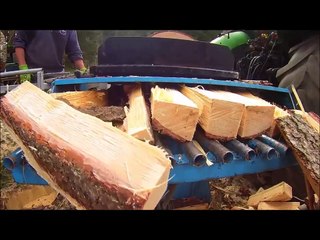 Schicht Holzspalter  3