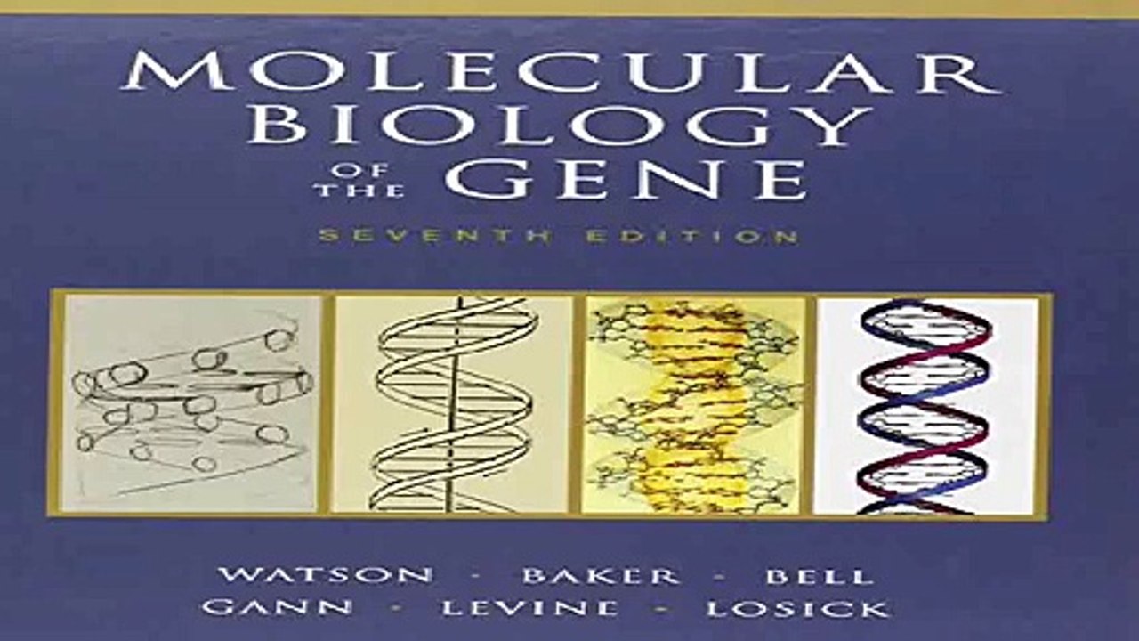 Molecular Biology of the Gene 7th Edition