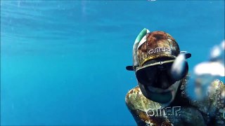 Chasse sous-marine Madagascar. Le deuxiéme Perroquet à Bosse, Spearfishing Madagascar