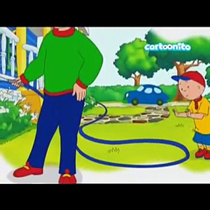 CAILLOU Italiano Giocattoli per grandi - Gli occhi
