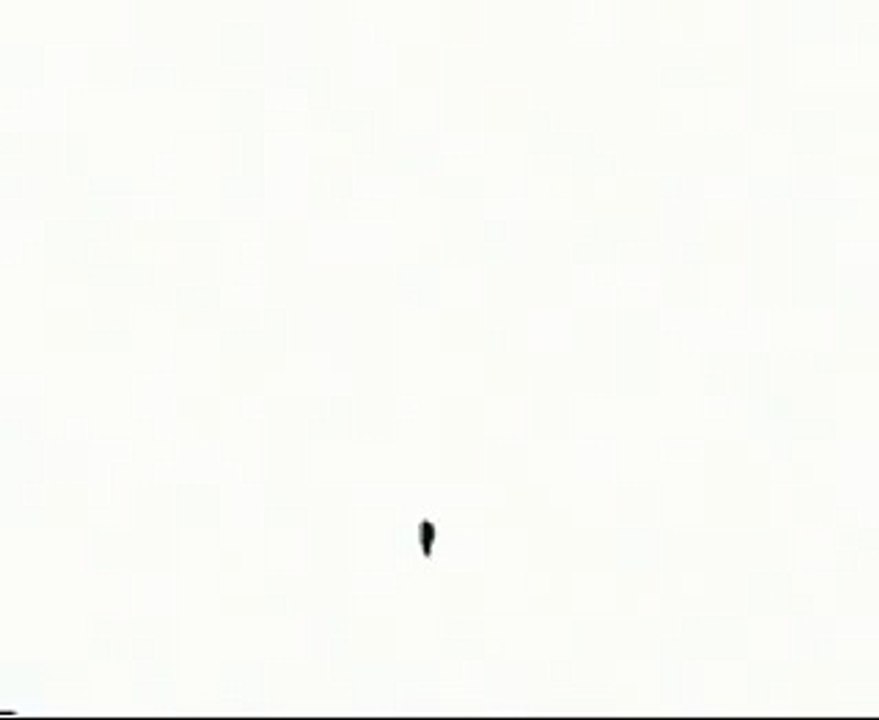 Cartoon Animation - Flower Growing