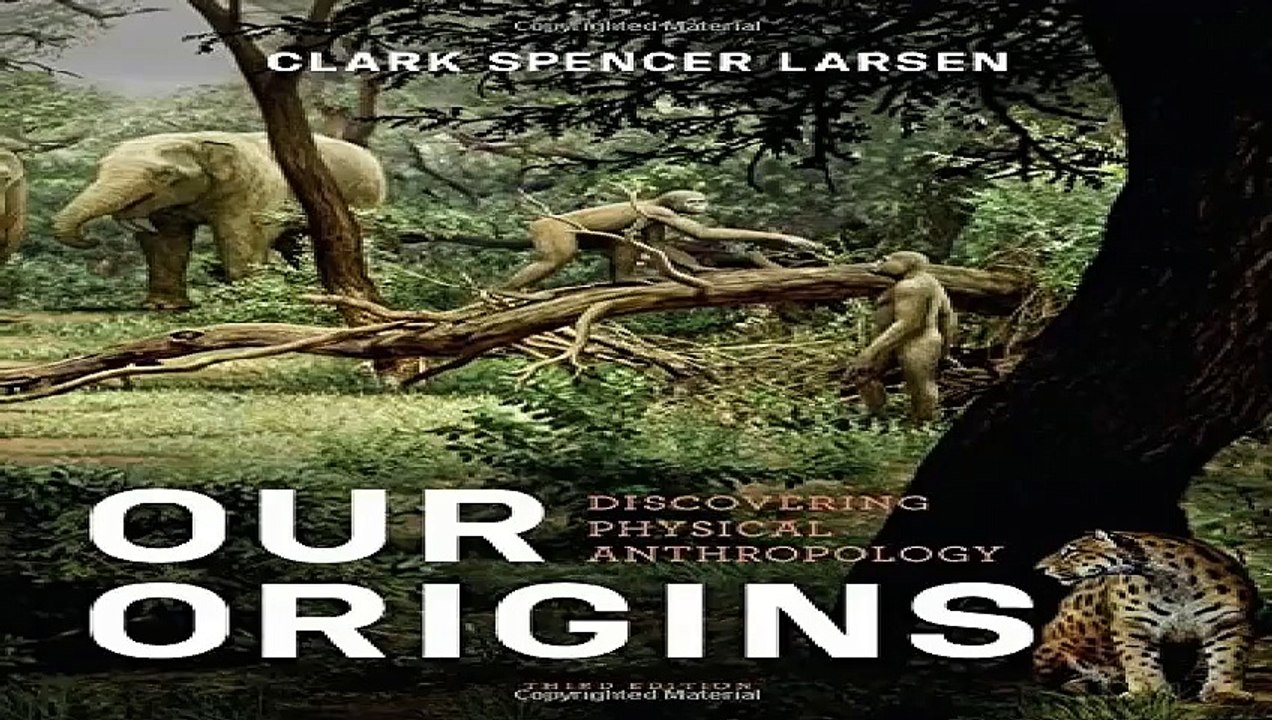 Our Origins Discovering Physical Anthropology Third Edition