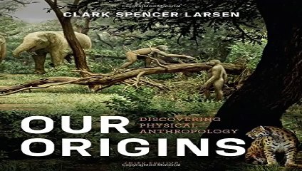 Our Origins Discovering Physical Anthropology Third Edition