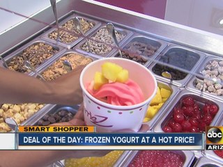 Smart Shopper: Deal of the day - Frozen yogurt