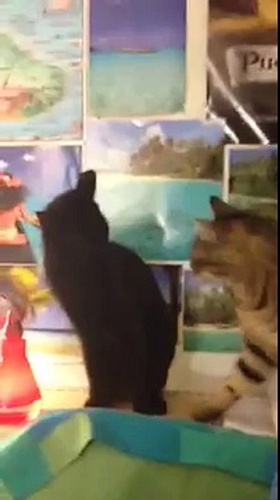 Wesley bugging Sheldon