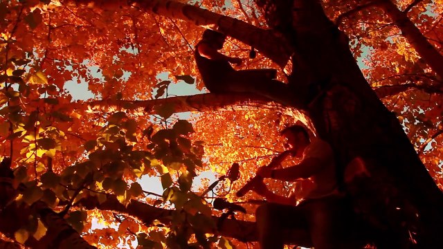 RELAX IN NATURE // Journey of the Falling Leaf (native american flute and bodhran) with Prosad