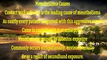 Pleural|Mesothelioma|Asbestos|Lung|Cancer|Peritoneal|Causes|Symptoms|Prognosis|Treatment|Law|Lawyer