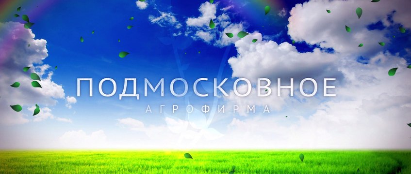 Генеральный директор ИП Тенишев о взаимодействии с Агрофирмой Подмосковное
