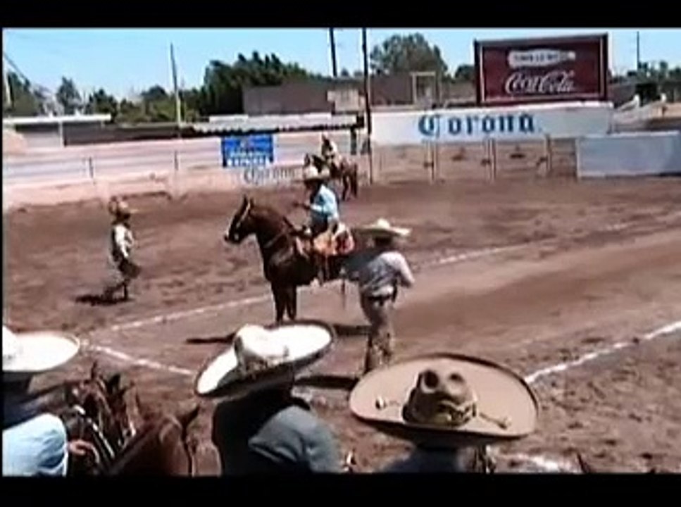 Caballos Charros en Venta