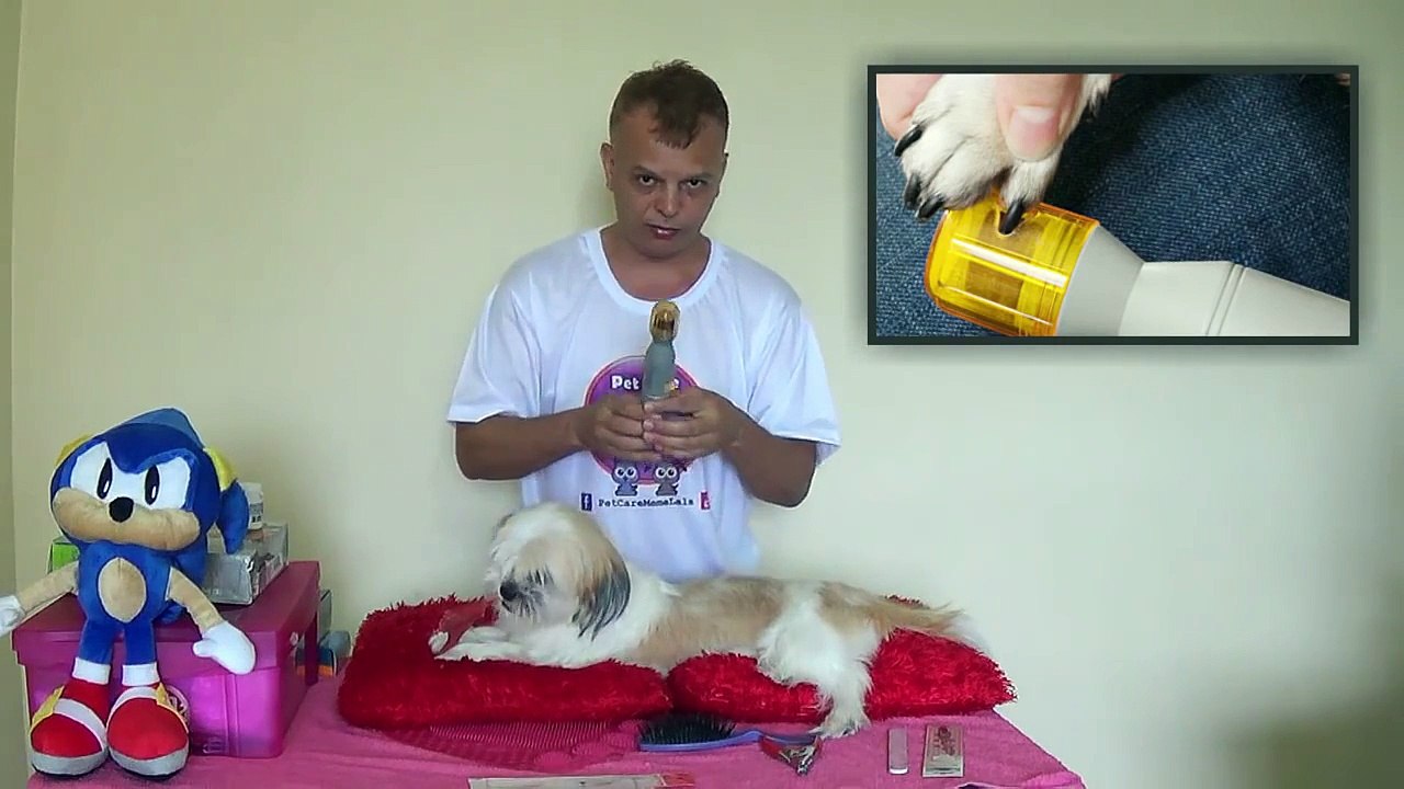 Como cortar as unhas do seu cachorro com cortador guilhotina.