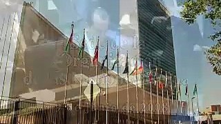 Aníbal Acevedo Vilá en la ONU