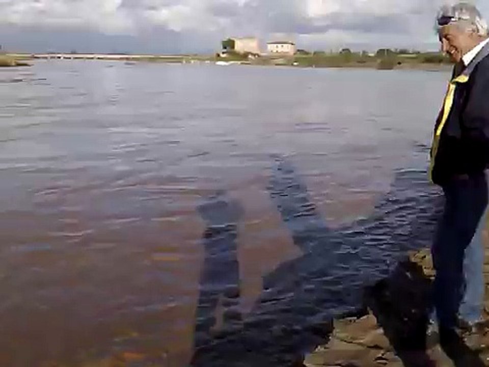 albegna piena.mp4 albinia