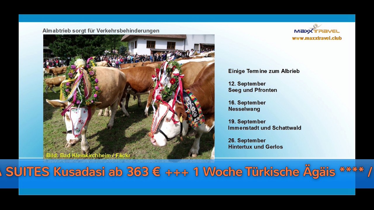 Reisenews. Schlittenhunde-Workshop