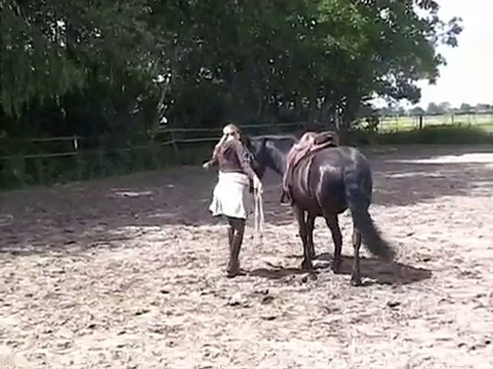 Ellen en Ketzal wijken op de volte met lichaamstaal