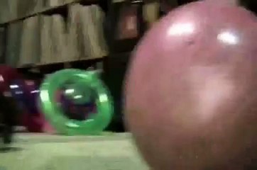 Hilarious Cat in Hamster Ball Thoughts