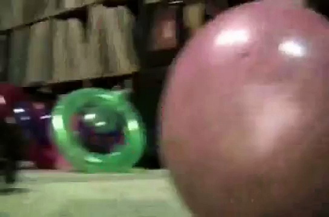 Hilarious Cat in Hamster Ball Thoughts