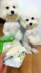 NO.１핸드폰소액결제 현금화↗↔↙010↔5906↔0190↗↔↙『＠』핸드폰소액대출 현금화