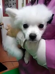 ¹등|↔|010↔5906↔0190|↔|핸드폰소액결제 현금화…휴대폰소액대출 현금화…정보이용료 현금화…