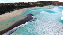 Large Dolphin pod surfing the waves at West Beach in Esperance, Western Australia.