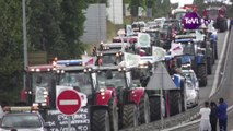 Les Jeunes Agriculteurs de la Manche restent mobilisés [TéVi] 15_09_10