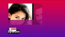 Shahid Kapoor's SURPRISE for wife Mira Kapoor - Bollywood Gossip