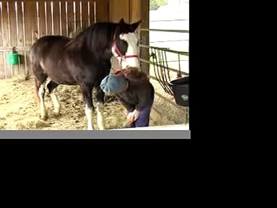 In the Barn with my Boyfriend