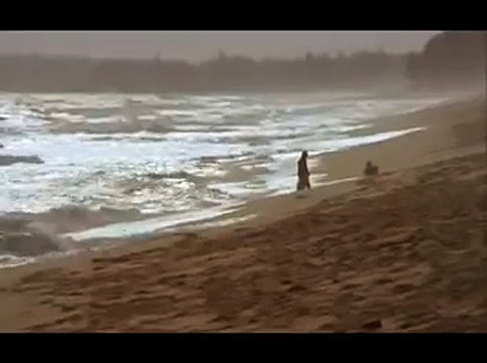 Cobra Verde (1987) - Ending
