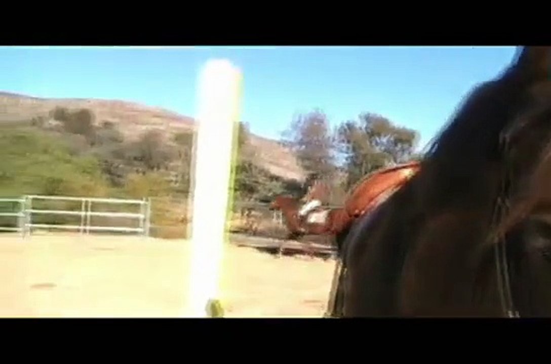 ME JUMPING JOEY, CHANCE, AND STELLA!