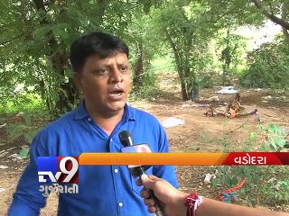 Tải video: VMC Unconcern : Stray dogs feast on dead at Vadodara Crematorium - Tv9 Gujarati