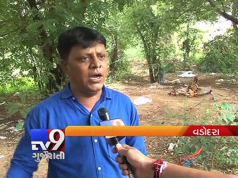 VMC Unconcern : Stray dogs feast on dead at Vadodara Crematorium - Tv9 Gujarati