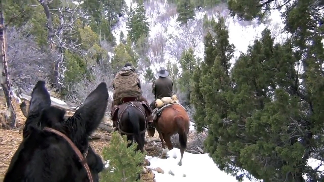 2013 Utah Cougar Hunt