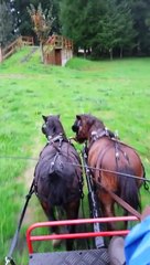 Driving CDE hazards with mini pair