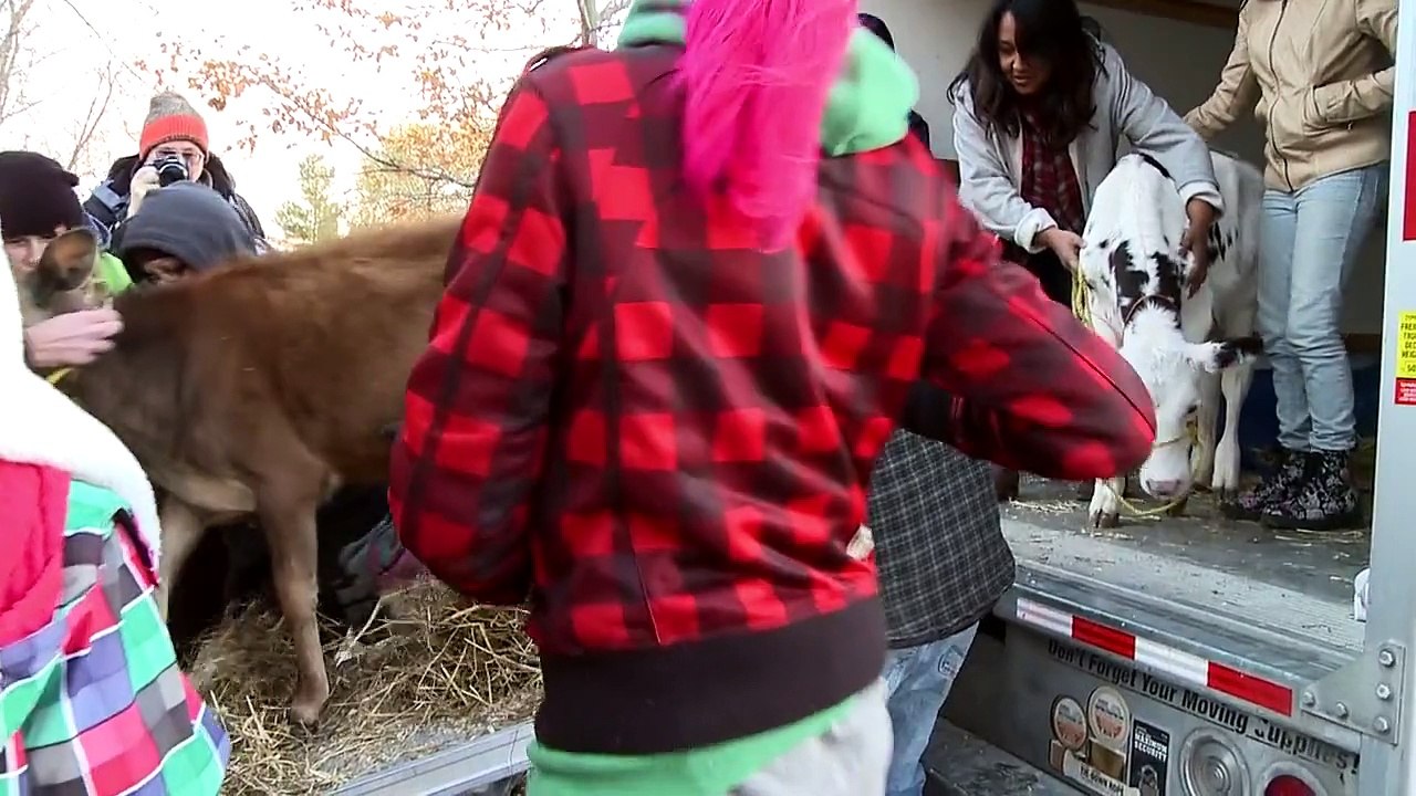 Bali and Kai Arrive at Wishing Well Sanctuary