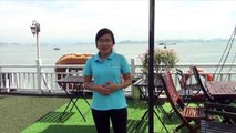 Book Halong Cruise, Halong Bay, Vietnam Vivutravel