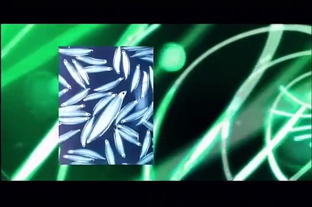 Kyushu University - Opening the Door to a New Century of Knowledge -