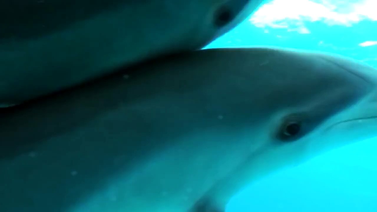 30 Seconds of Zen - Oceans