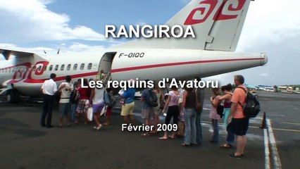 Les requins d'Avatoru - Rangiroa